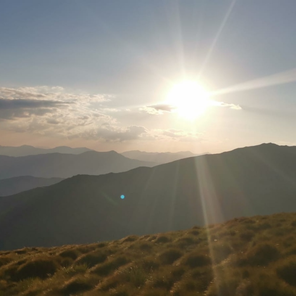 Meet your Posher, Teodora